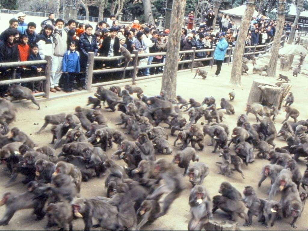 Kannawaso Beppu Bagian luar foto